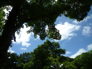 大地 de コースとバーベキュー♪