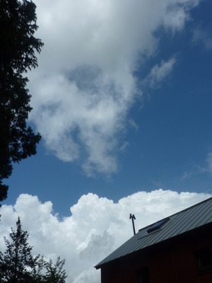 冬の花と夏の雲☆