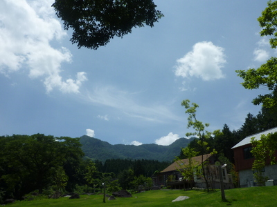 晴れの日の庭歩き☆