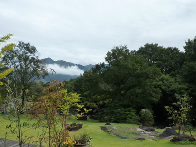 雨上がりと朝ヨガ☆