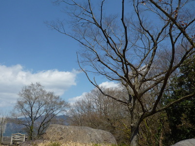 青空に誘われて♪