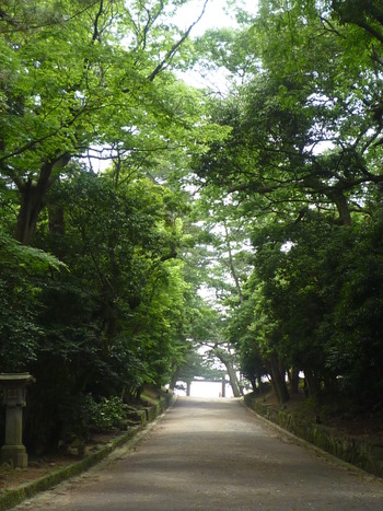 出雲大社 ~出雲の旅 ~
