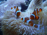 水族館♪