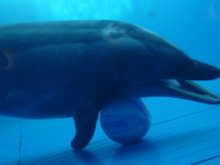 水族館♪