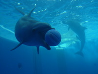 水族館♪