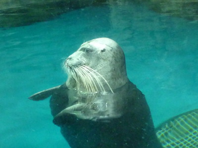 水族館♪