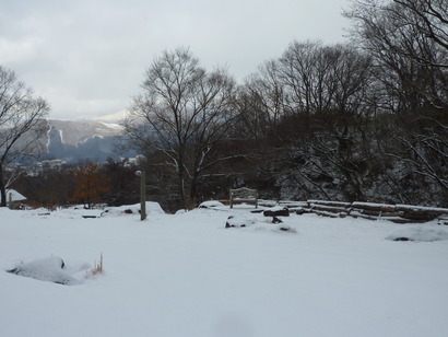 雪の中、出かけた先は。。。