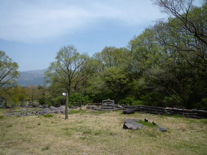 2週間ぶりの我が家☆
