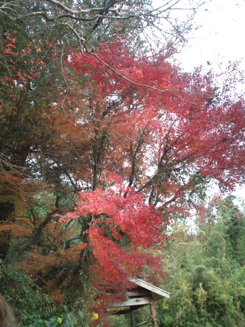 耕雲亭&朝虹窯 天草日帰り旅