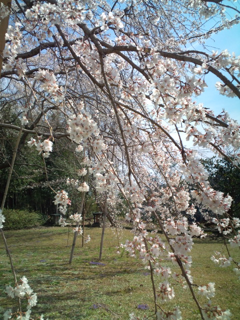 もうひとつの嗅ぎ方