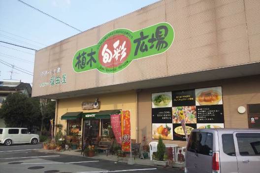 旬の果物スイーツ!デザート工房お菓子の福田屋っ♪