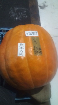 カボチャ？