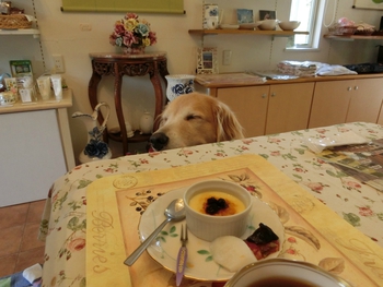 谷人たちの美術館　ご来場ありがとうございました＾＾
