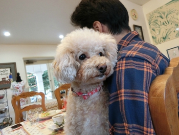 かわいいお客さま＾＾