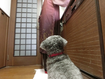 明けましておめでとうございます＾＾