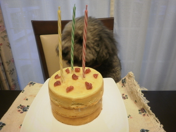 今年の誕生日＾＾