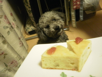 今年の誕生日＾＾
