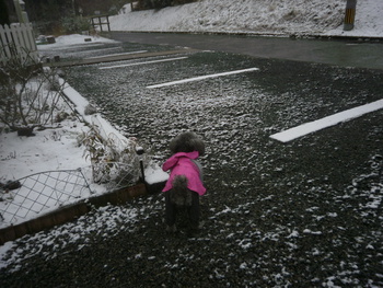 久しぶりの雪＾＾