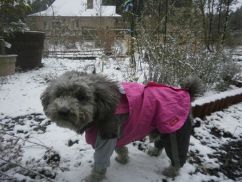 久しぶりの雪＾＾
