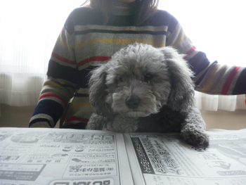 純くん1月の様子^^ 純くん1月の様子^^
