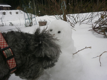 先週の雪＾＾