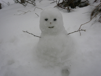 先週の雪＾＾