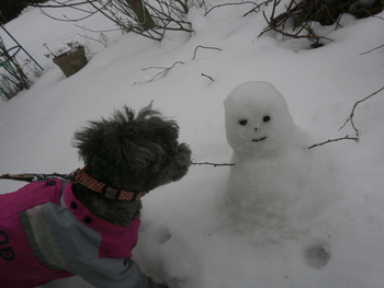 先週の雪＾＾
