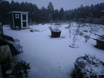 先週の雪＾＾