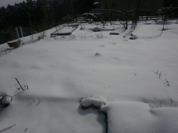 先週の雪＾＾