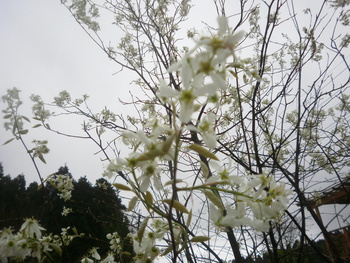 ぞくぞくと・・・＾＾