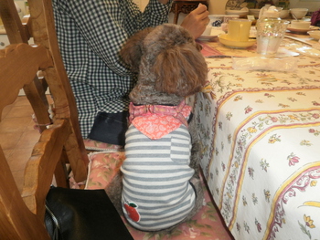 かわいいお客さま＾＾