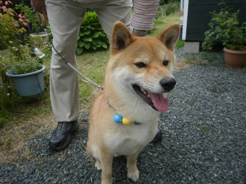 かわいいお客さま＾＾