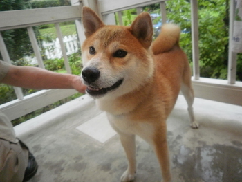 かわいいお客さま＾＾