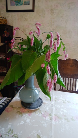 お盆休み∧∧