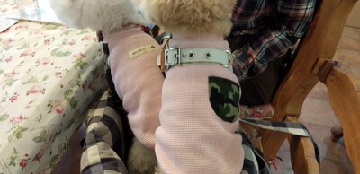 かわいいお客様^^ かわいいお客様^^