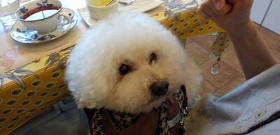 かわいいお客様^^ かわいいお客様^^