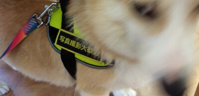 かわいいお客様^^ かわいいお客様^^