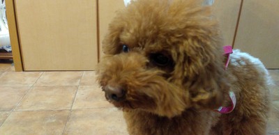 かわいいお客様^^ かわいいお客様^^
