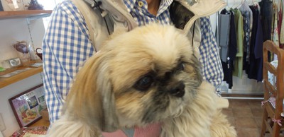 かわいいお客様^^ かわいいお客様^^