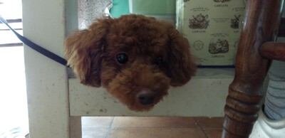 かわいいお客様^^ かわいいお客様^^
