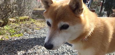 かわいいお客様^^ かわいいお客様^^