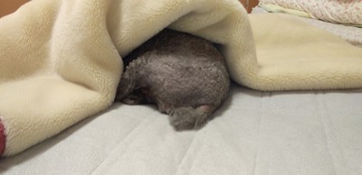 カットに行きました＾＾