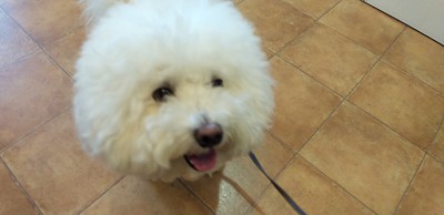 かわいいお客様＾＾