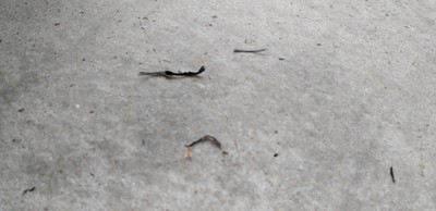 野焼き∧∧