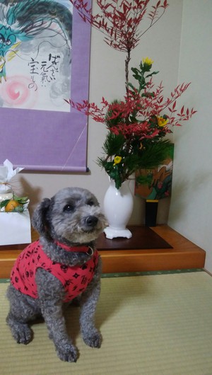 明けましておめでとうございます＾＾