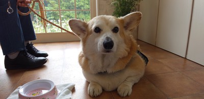 かわいいお客様^^ かわいいお客様^^