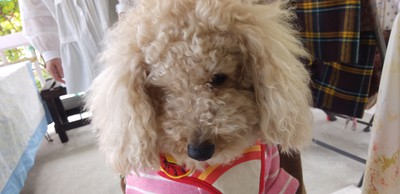かわいいお客様＾＾
