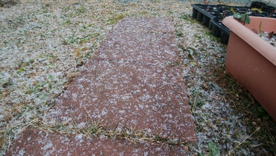 今朝は雪が降り始めました＾＾