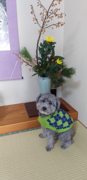明けましておめでとうございます＾＾