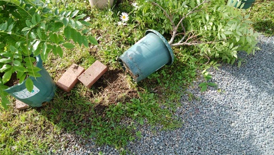 終わりました～＾＾